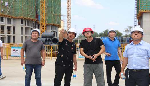 开云·官方端网页版登录入口董事会巡检圆满完成